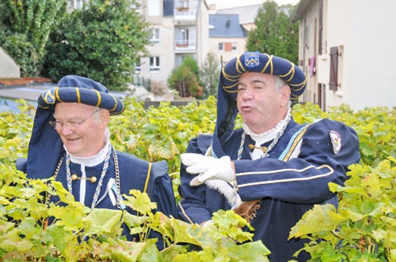 CLAMART2010107