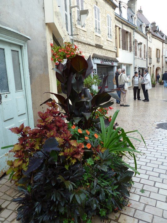 VOYAGE20ANS2013205